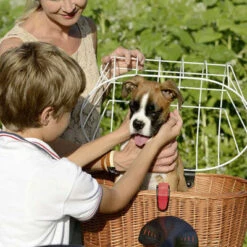 Kit Panier Vélo Chien Doggy Plus + Fixation GTA Klickfix 13 Kit Panier Vélo Chien Doggy Plus + Fixation GTA Klickfix -Lecyclo kit panier velo chien doggy plus fixation gta klickfix full 6